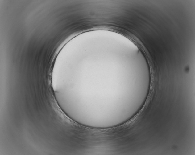 X0000115250908200912111114