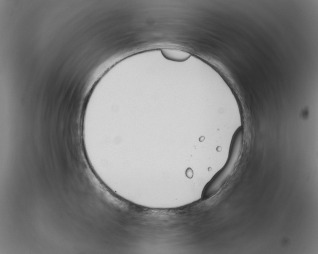 X0000115250910200912111114