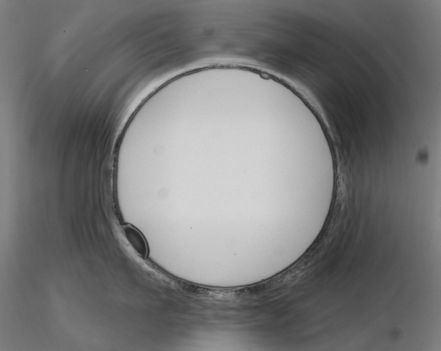 X0000115250911200912111114