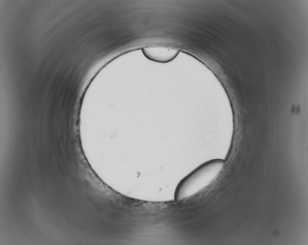 X0000115250912200912111114