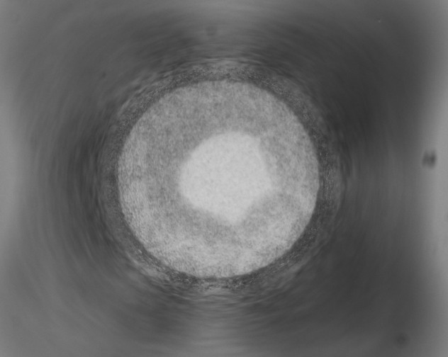 X0000115250913200912111113