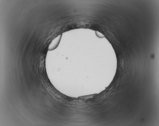 X0000115250914200912111113