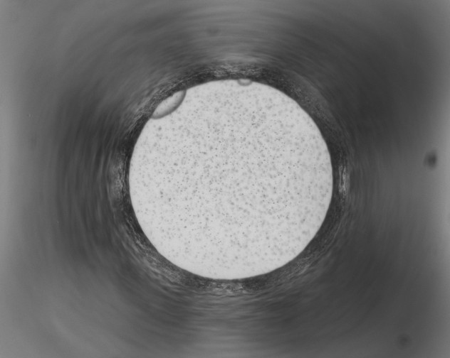 X0000115250915200912111113