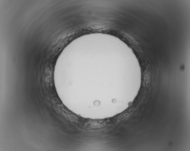 X0000115250917200912111113