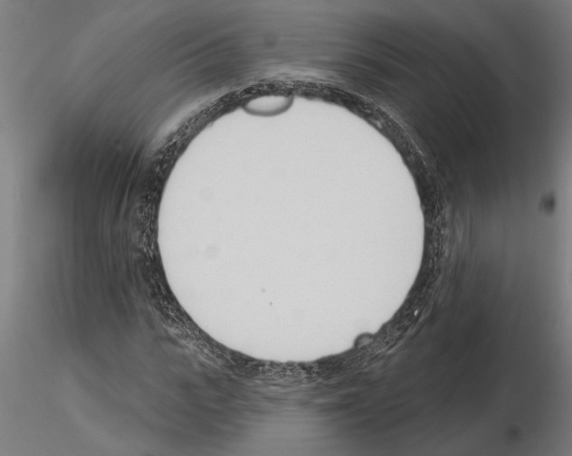 X0000115250919200912111113