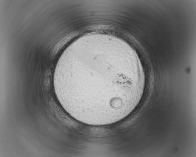 X0000115250921200912111113