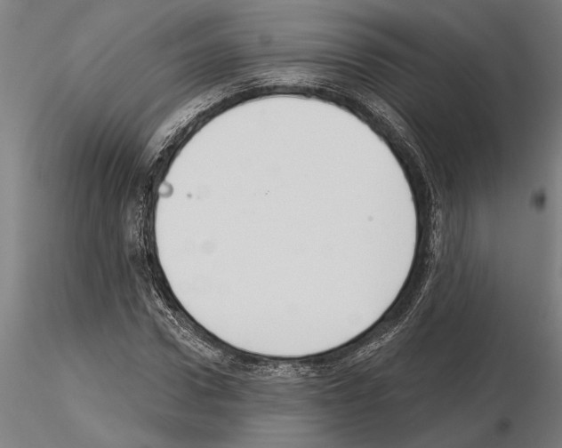 X0000115250922200912111113