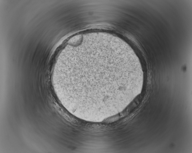 X0000115250923200912111113