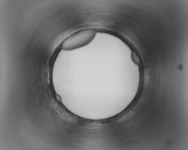 X0000115250925200912111113