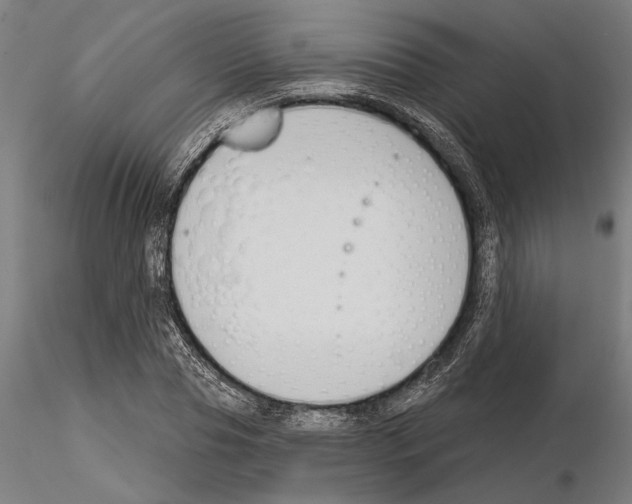 X0000115250929200912111113