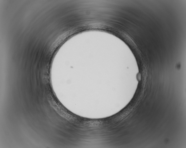 X0000115250930200912111113