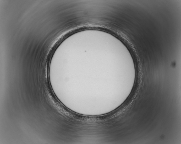 X0000115250934200912111113