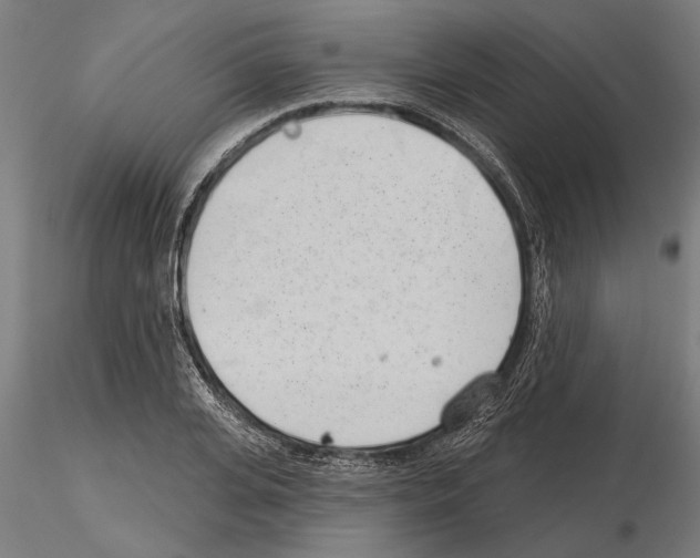 X0000115250935200912111113