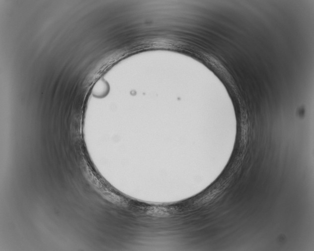 X0000115250938200912111113