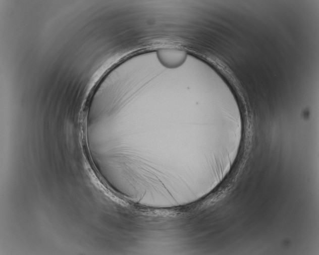 X0000115250941200912111114