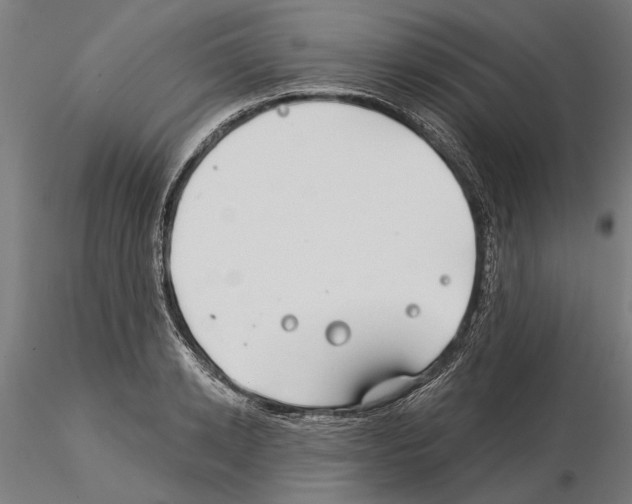 X0000115250942200912111114