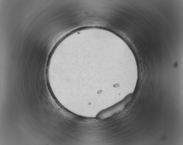 X0000115250943200912111114