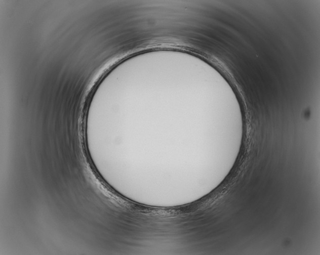 X0000115250947200912111114