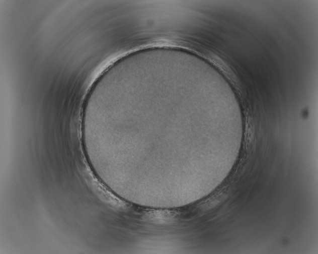 X0000115250950200912111114