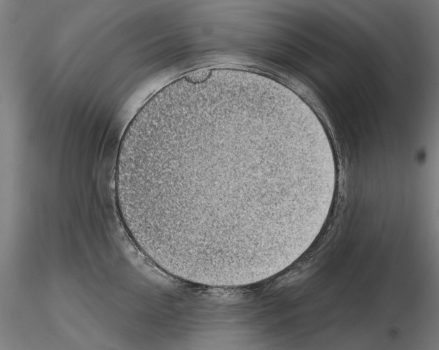 X0000115250954200912111114