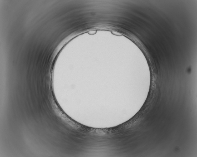 X0000115250955200912111114