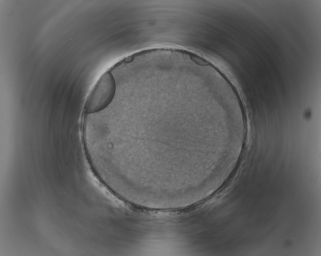 X0000115250958200912111114