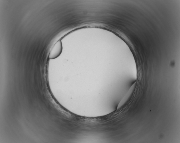 X0000115250959200912111114