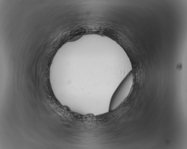 X0000115250961200912111113