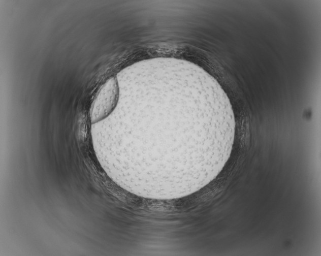 X0000115250962200912111113