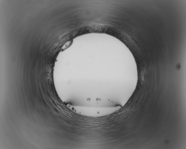 X0000115250964200912111113