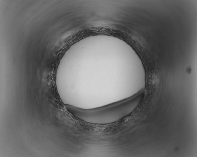 X0000115250965200912111113