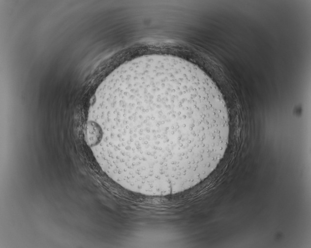 X0000115250966200912111113