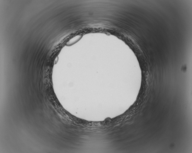 X0000115250968200912111113