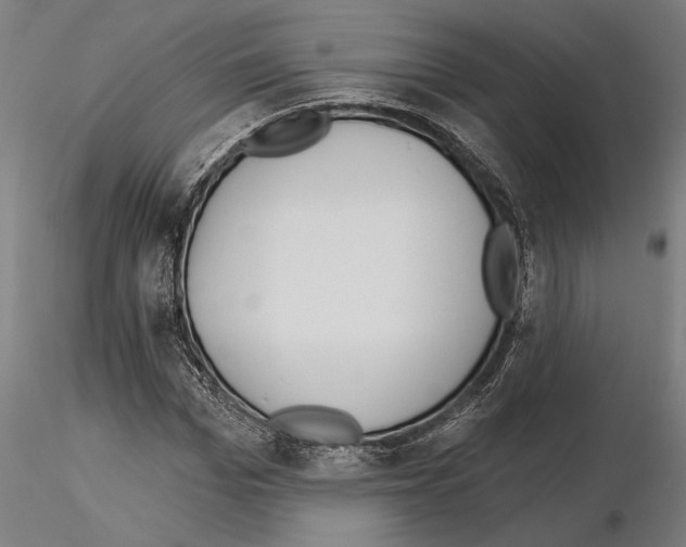 X0000115250969200912111113