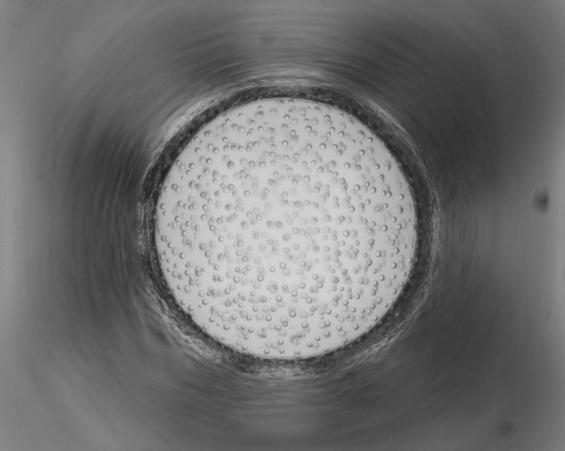 X0000115250970200912111113