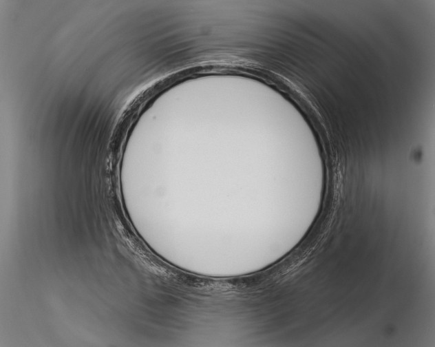 X0000115250971200912111113