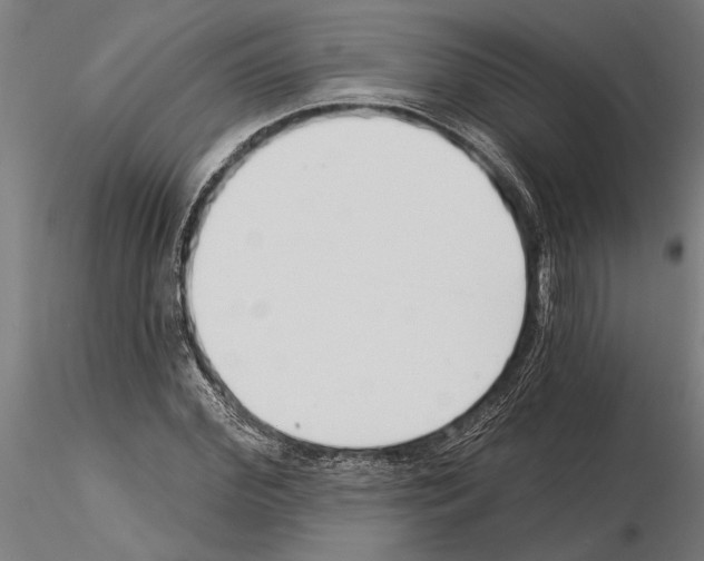 X0000115250972200912111113