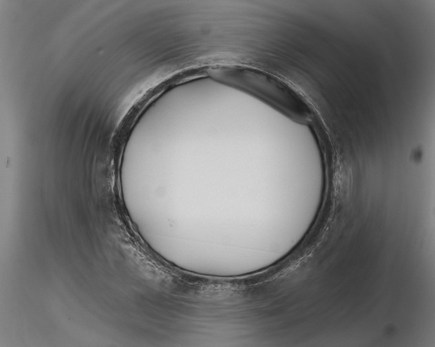 X0000115250973200912111113