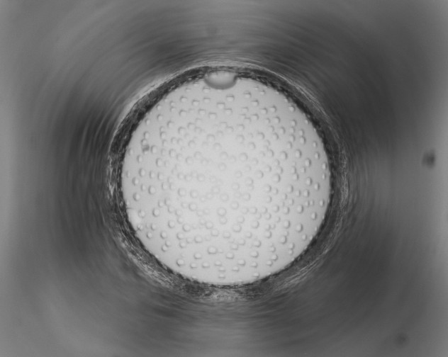 X0000115250974200912111113