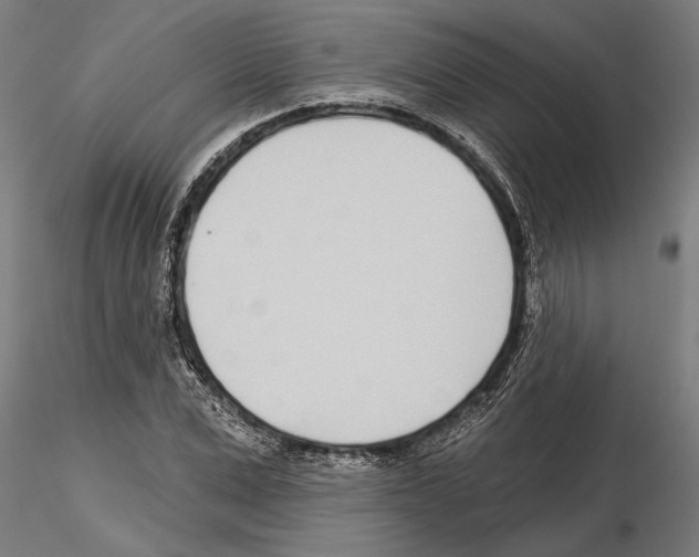 X0000115250975200912111113