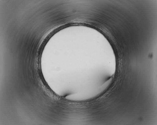 X0000115250976200912111113