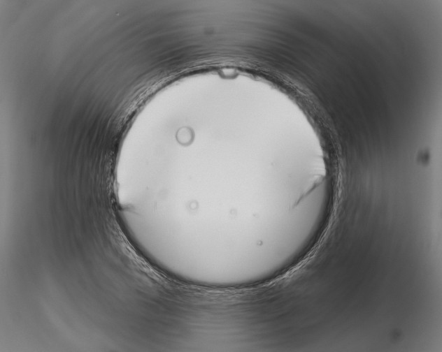 X0000115250977200912111113