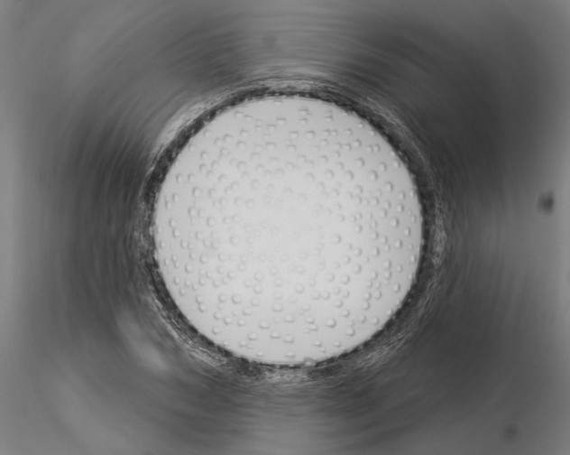 X0000115250978200912111113