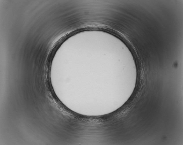 X0000115250979200912111113