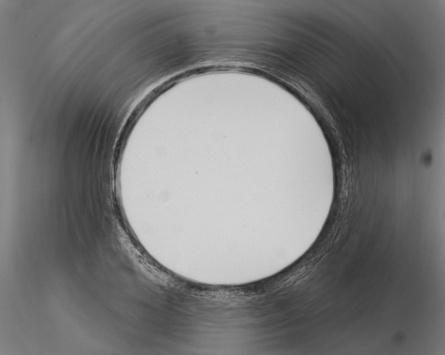 X0000115250980200912111113