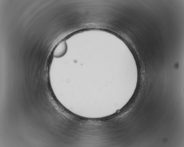 X0000115250981200912111113