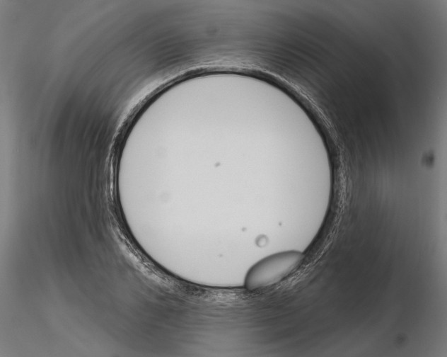 X0000115250982200912111113