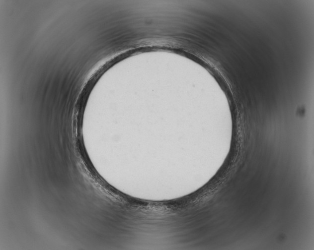 X0000115250983200912111113