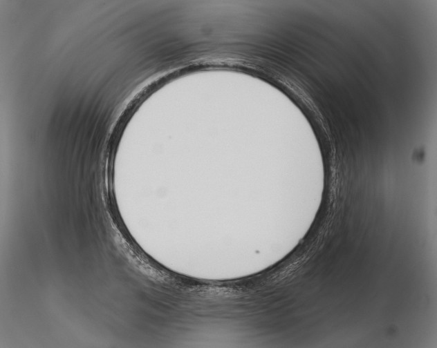 X0000115250984200912111113