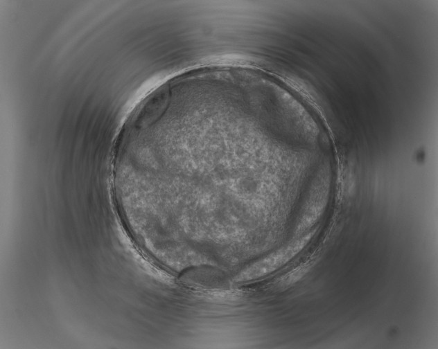 X0000115250989200912111112